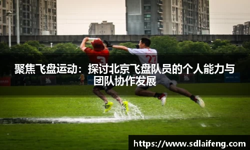 聚焦飞盘运动：探讨北京飞盘队员的个人能力与团队协作发展
